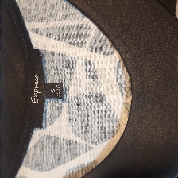 Express Dress - Picture 2 of 3